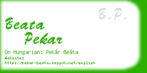 beata pekar business card